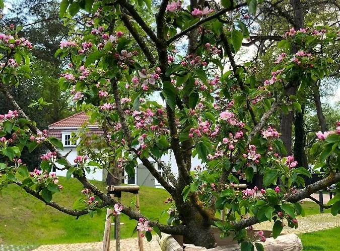 Coach House